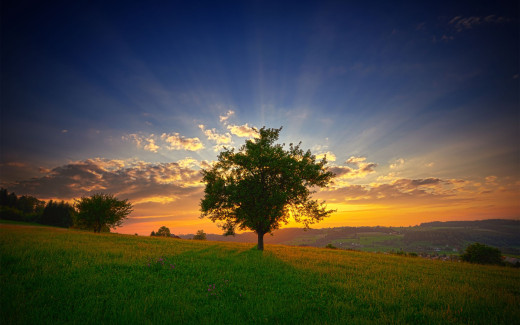 495806 (a): :2560x1600